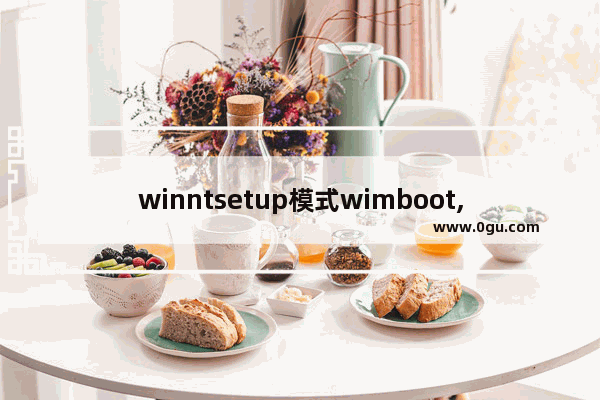 winntsetup模式wimboot,wimboot安装win10