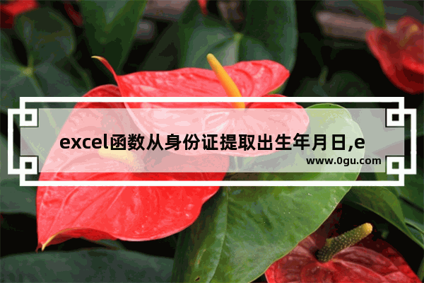 excel函数从身份证提取出生年月日,excel如何根据身份证号提取出生日期