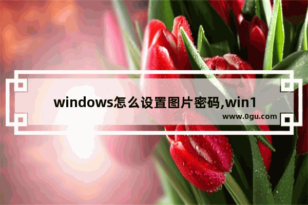 windows怎么设置图片密码,win10电脑相册怎么设置密码