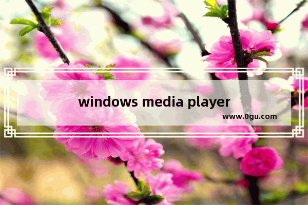 windows media player播放文件遇到问题,windows media player该文件已在使用中