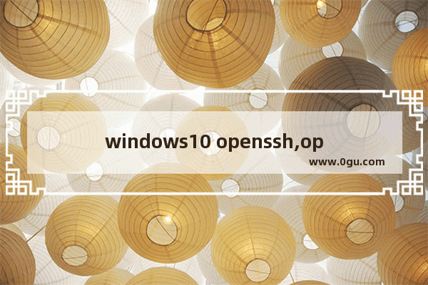 windows10 openssh,openssl win10