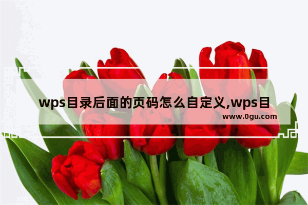 wps目录后面的页码怎么自定义,wps目录页码省略号