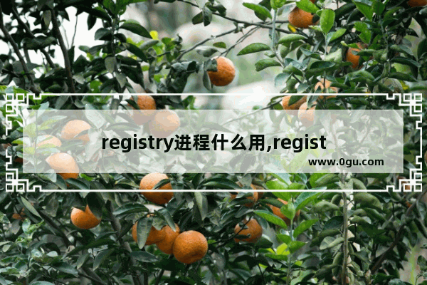 registry进程什么用,registry怎么关闭