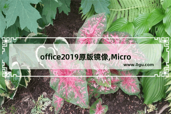 office2019原版镜像,Microsoft office 2019下载