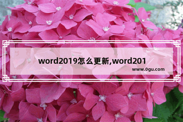 word2019怎么更新,word2016怎么关闭自动更新