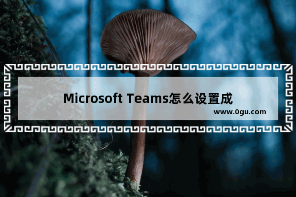 Microsoft Teams怎么设置成中文