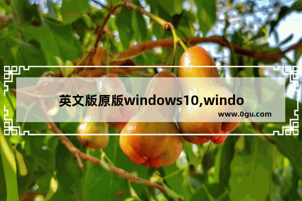 英文版原版windows10,window10英文版下载