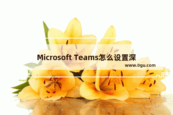 Microsoft Teams怎么设置深色主题