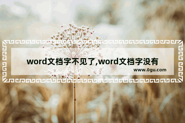 word文档字不见了,word文档字没有了