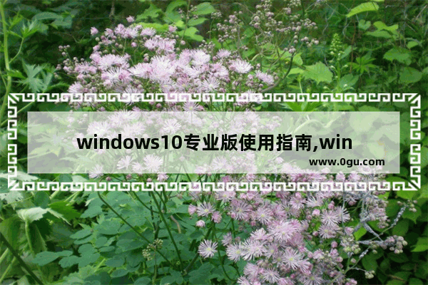 windows10专业版使用指南,win10专业版操作系统版本