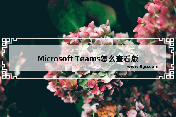 Microsoft Teams怎么查看版本号