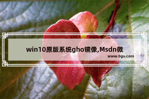 win10原版系统gho镜像,Msdn微软原版Win10镜像