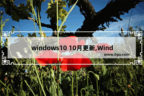 windows10 10月更新,Windows 10 更新