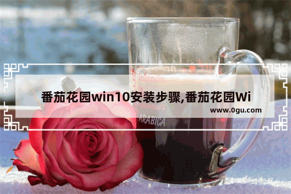 番茄花园win10安装步骤,番茄花园Windows