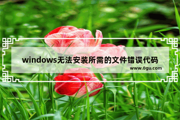 windows无法安装所需的文件错误代码0x8007025D,windows安装程序错误代码0x8007025d