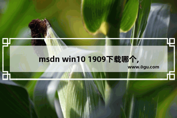 msdn win10 1909下载哪个,win10原版msdn