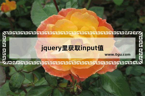 jquery里获取input值