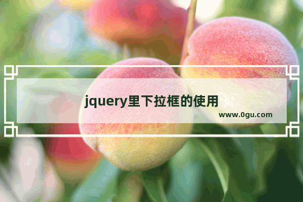 jquery里下拉框的使用