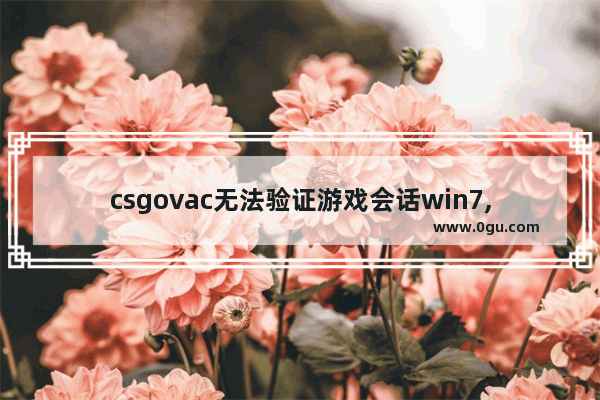 csgovac无法验证游戏会话win7,vac无法验证您的游戏会话csgowin10