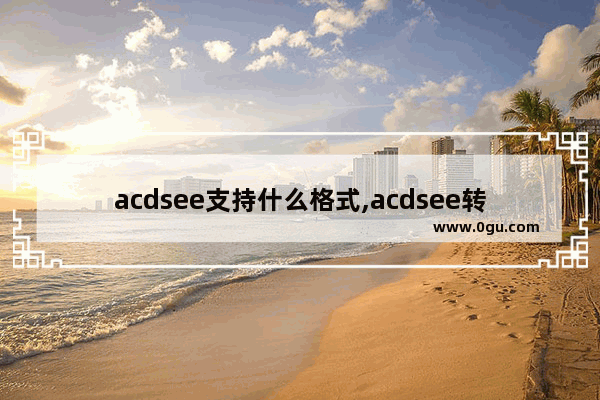 acdsee支持什么格式,acdsee转换文件格式