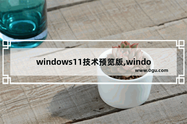 windows11技术预览版,windows10专业版界面预览