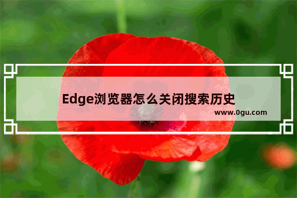 Edge浏览器怎么关闭搜索历史