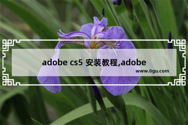 adobe cs5 安装教程,adobe flash cs5.5安装教程