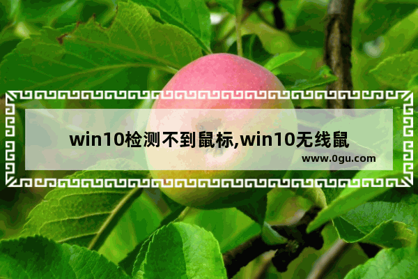 win10检测不到鼠标,win10无线鼠标usb无法识别