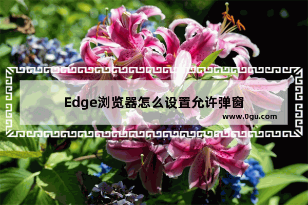 Edge浏览器怎么设置允许弹窗