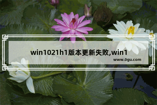 win1021h1版本更新失败,win101909升级20h2失败