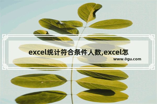 excel统计符合条件人数,excel怎么有条件统计人数