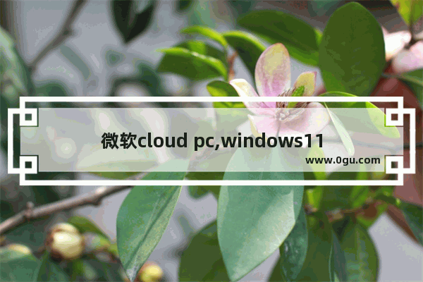 微软cloud pc,windows11 cloud是什么版本