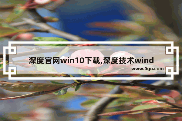 深度官网win10下载,深度技术windows10