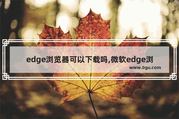 edge浏览器可以下载吗,微软edge浏览器怎么下载