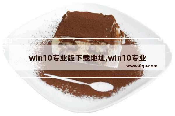 win10专业版下载地址,win10专业版下载哪个版本