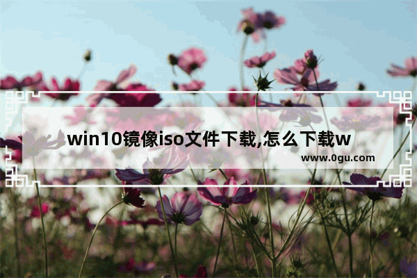 win10镜像iso文件下载,怎么下载windows10镜像iso文件