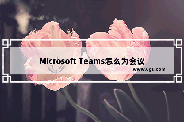 Microsoft Teams怎么为会议诊断启用日志记录