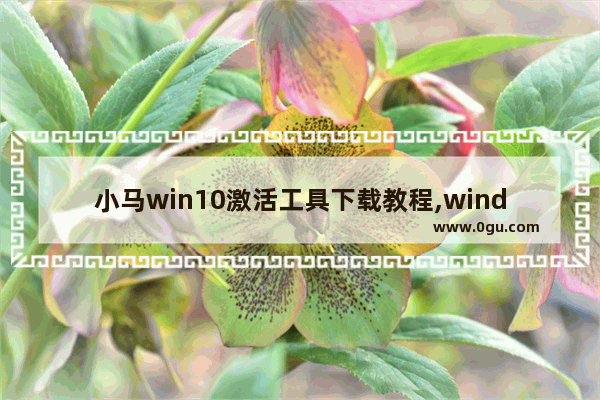 小马win10激活工具下载教程,window10小马激活工具 1