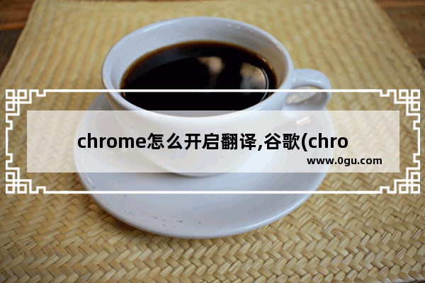 chrome怎么开启翻译,谷歌(chrome)浏览器,页面翻译设置