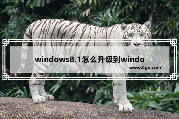 windows8.1怎么升级到window10,windows8.1还能免费升级Windows10吗