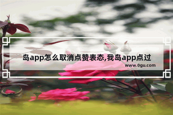 岛app怎么取消点赞表态,我岛app点过赞在哪里看