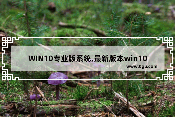 WIN10专业版系统,最新版本win10系统 1