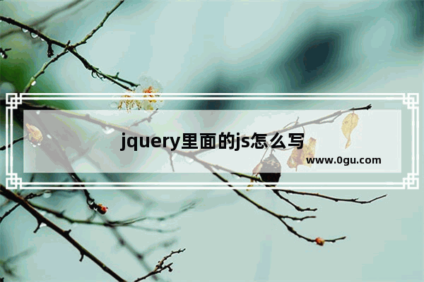 jquery里面的js怎么写