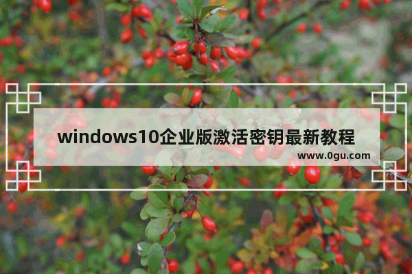 windows10企业版激活密钥最新教程,win10企业版激活密钥最新