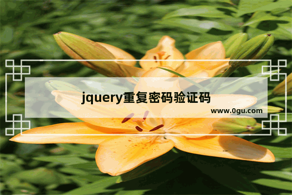 jquery重复密码验证码