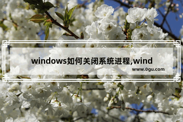 windows如何关闭系统进程,windows10关闭进程