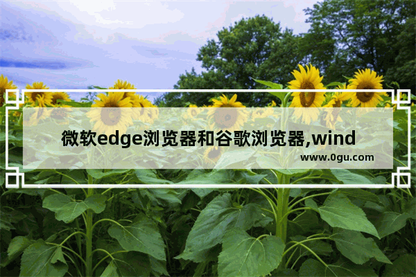 微软edge浏览器和谷歌浏览器,windows10自带的edge浏览器