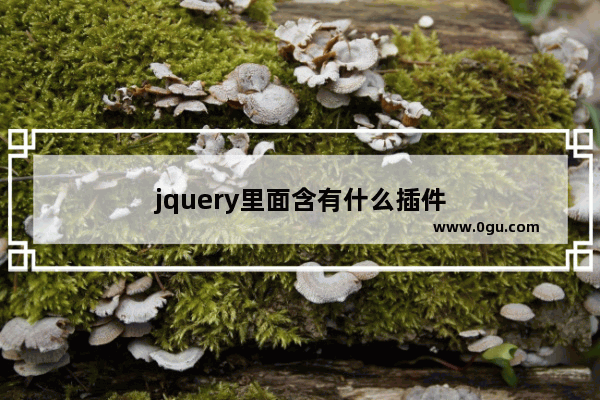 jquery里面含有什么插件