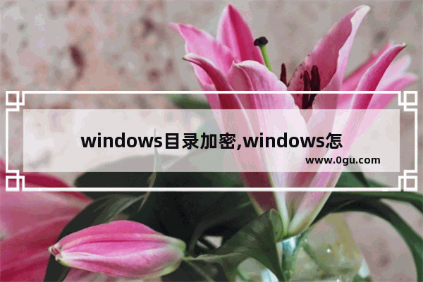 windows目录加密,windows怎么加密文件