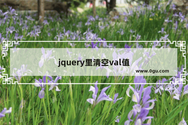 jquery里清空val值